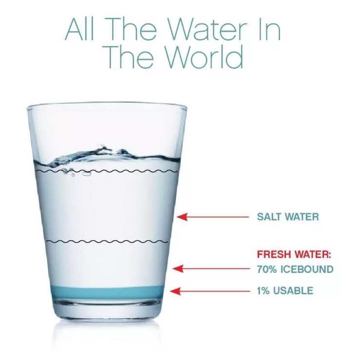 What are four sources of freshwater on the Earth? Legit.ng