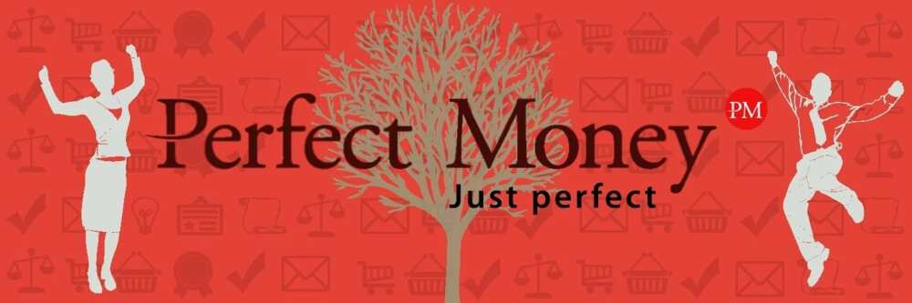 What is perfect money all about?