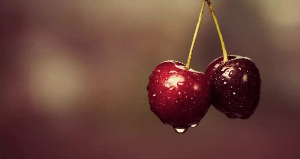 How many types of cherries are there?