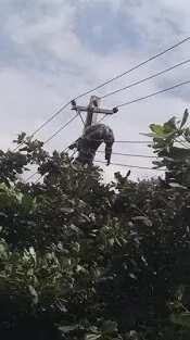 NEPA Staff Electrocuted While On Duty In Lagos (PHOTOS)