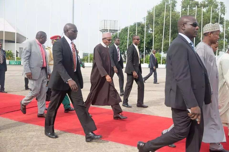 How Much Does One Trip Of Buhari Cost How Much Does One Trip Of Buhari Cost