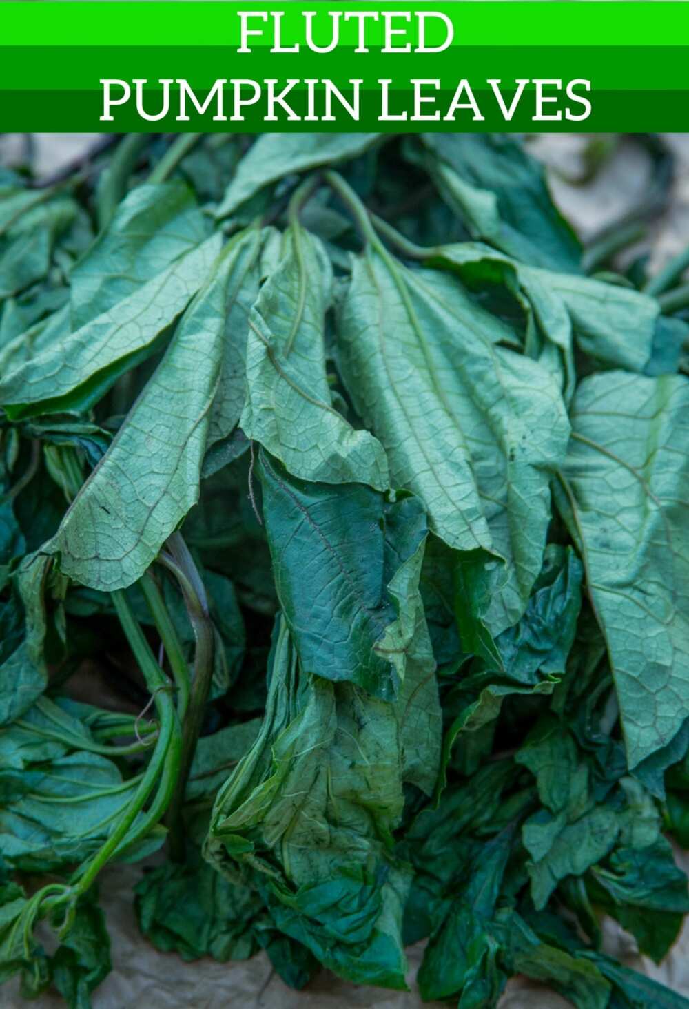 health-benefits-of-ugu-leaves-legit-ng