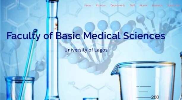 University Of Lagos Courses - Legit.ng