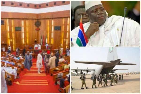 Senate questions deployment of troops to Gambia