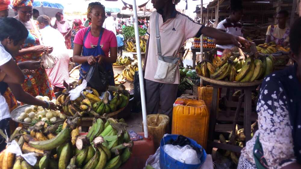Plantain witnessed about 40% increase in price at Jos Adun market, Benin-City. Source: Esther Odili.