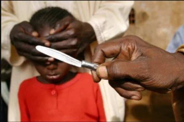 8 Female Genital Mutilation