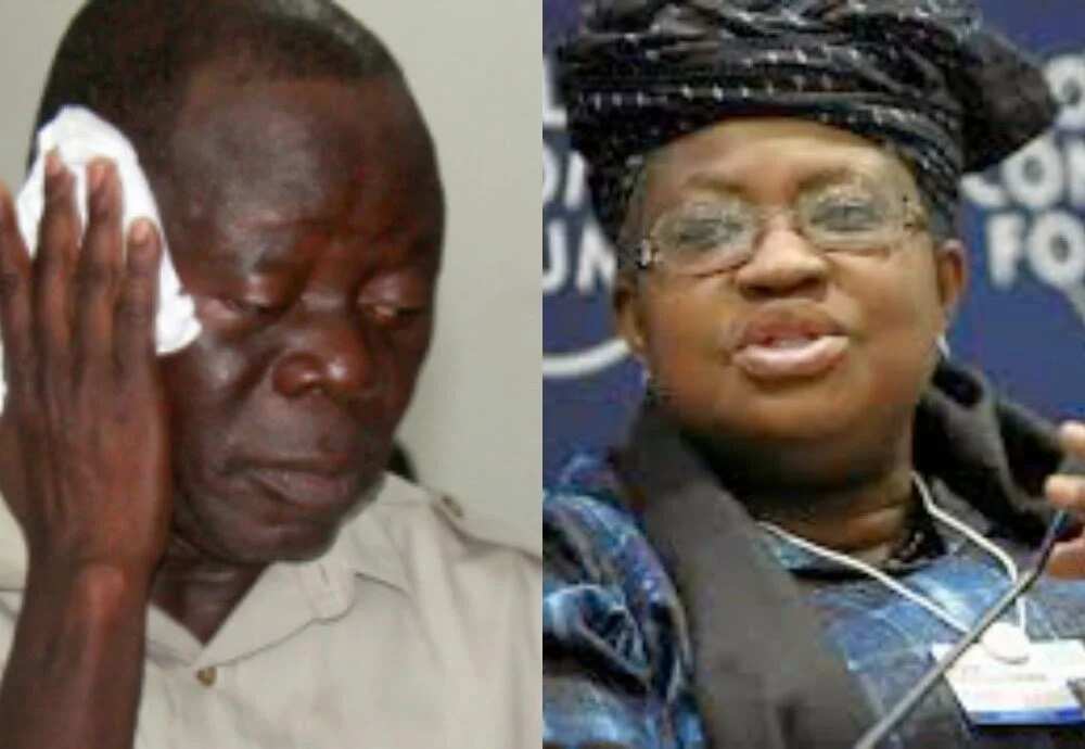 REPORT: Why Oshiomhole Is Witch-Hunting Okonjo-Iweala
