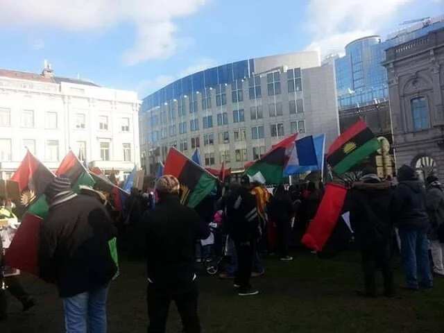 Biafrans across Europe storm EU parliament (photos/video)