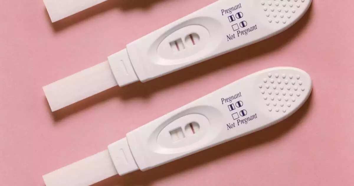 how-to-do-pregnancy-test-with-salt-and-urine-legit-ng