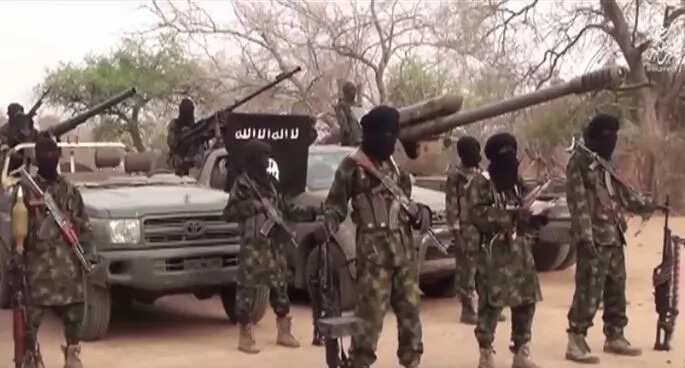 BREAKING: Boko Haram IED explodes, kills four people