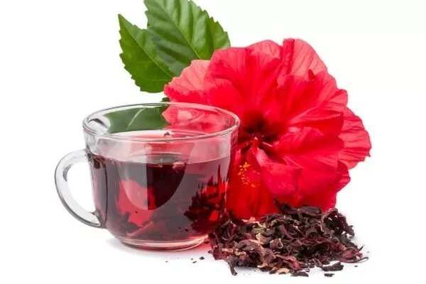 Zobo drink and menstruation