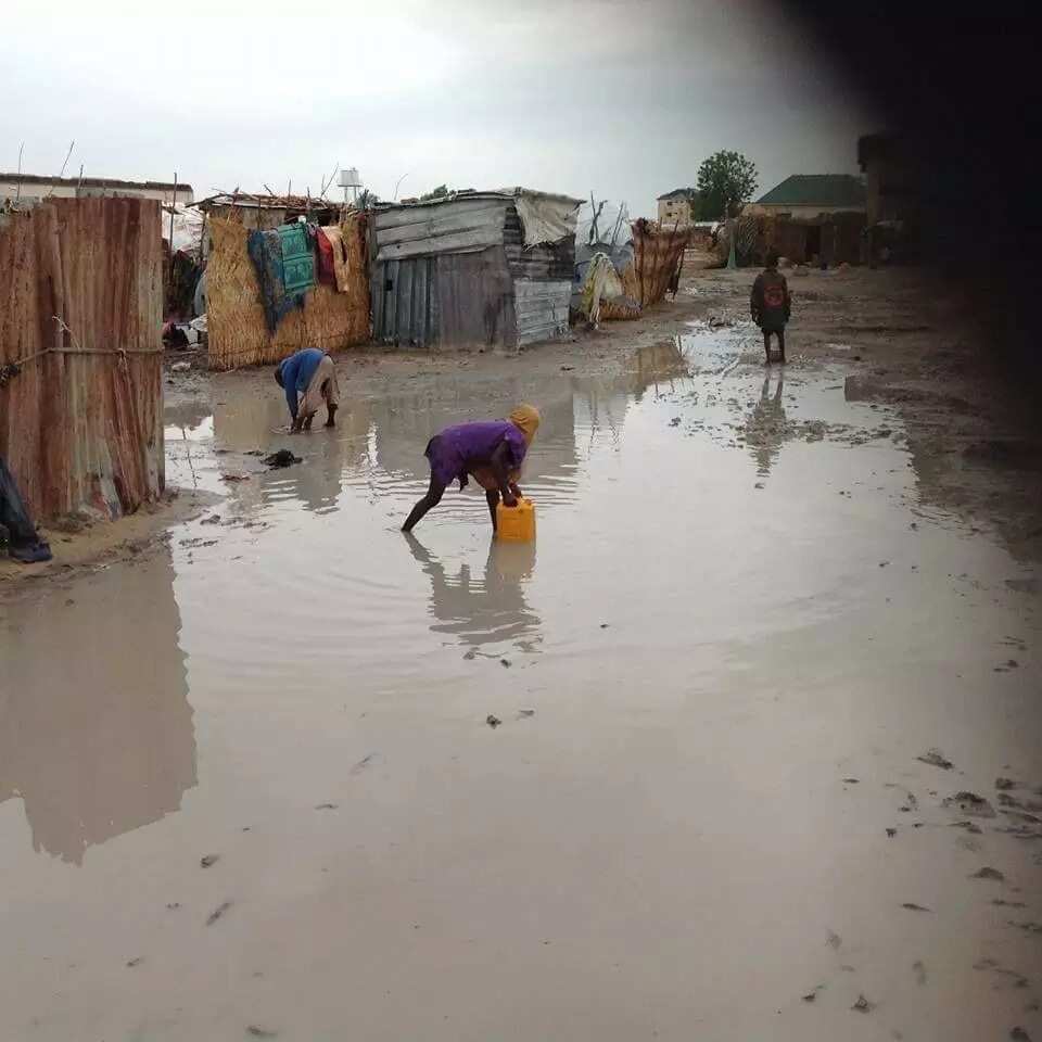 Ciwon hanta 'Hepatitis E' ya"Kashe mata masu ciki hudu a Jihar Borno, 'yan IDP 400 sun kama cutar " Ciwon hanta 'Hepatitis E' ya"Kashe mata masu ciki hudu a Jihar Borno, 'yan IDP 400 sun kama cutar "