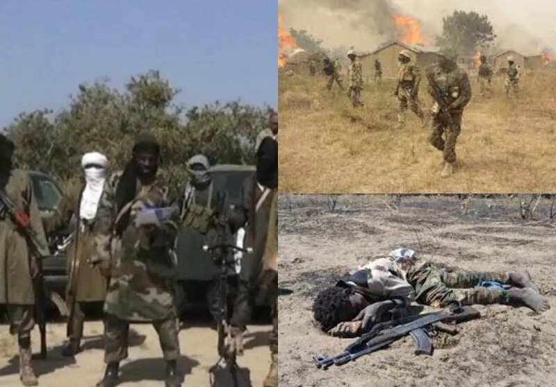Army kills 3 suicide bombers in Adamawa