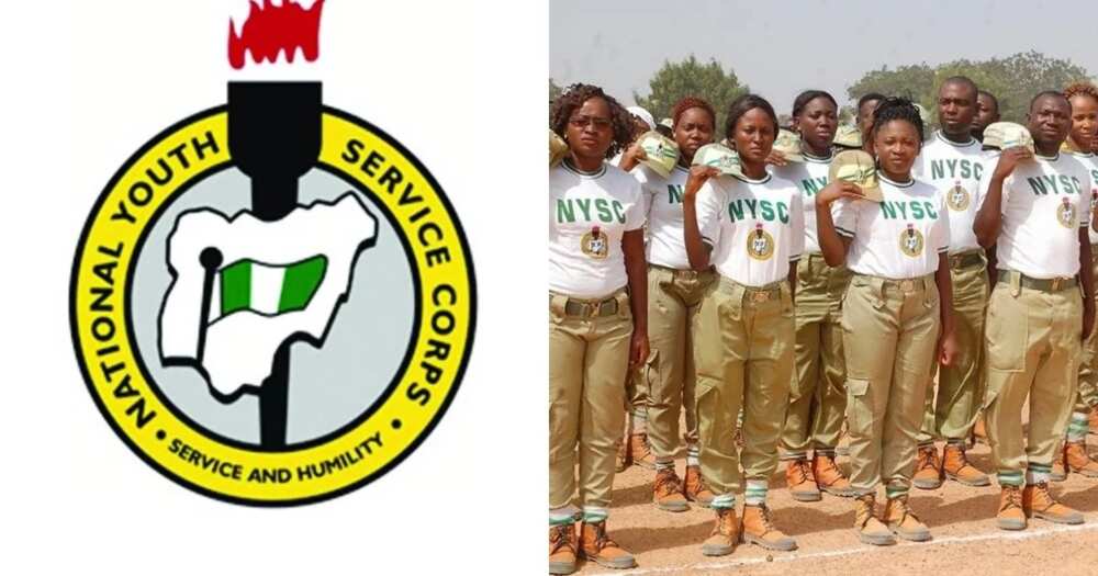 Image result for nysc