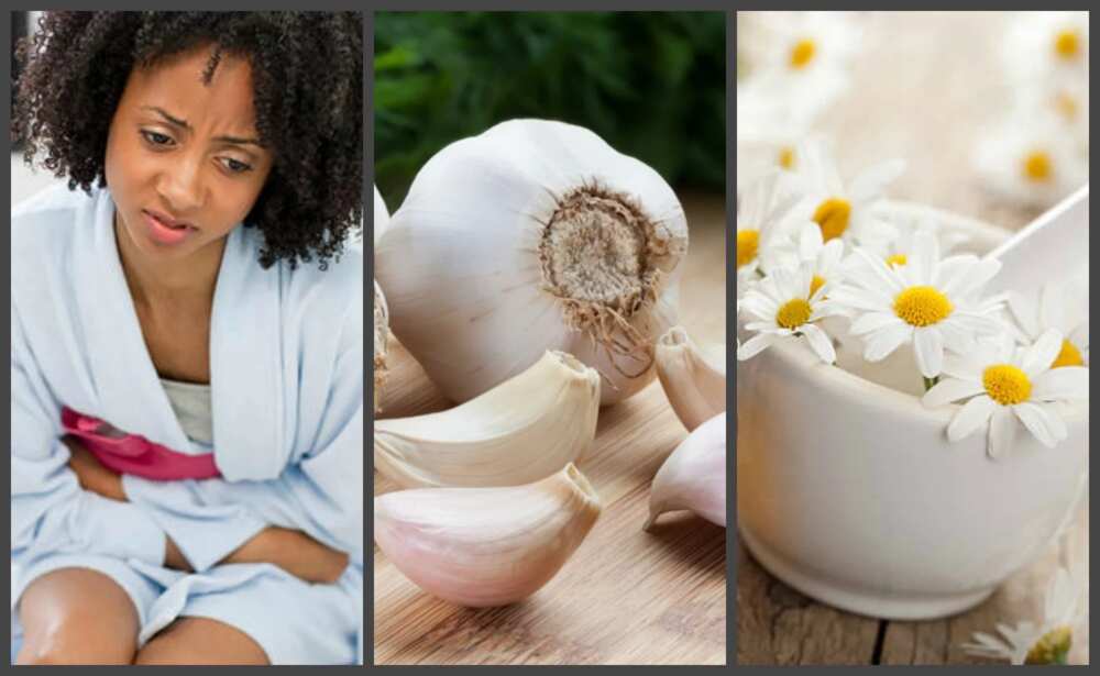 Natural treatment for toilet infection in Nigeria Natural treatment for toilet infection in Nigeria