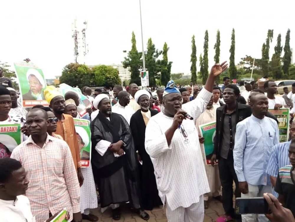 Zanga zangar 'yan Shi'a a Abuja: Sun bukaci 'yan Nigeria su maida Buhari Daura a 2019