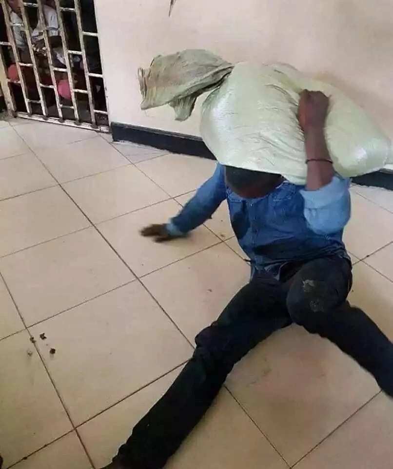 Wani Barawo ya mika kansa ga Yansanda bayan buhun gyadan da ya sata ya makalkale masa a wuya (Hotuna) Wani Barawo ya mika kansa ga Yansanda bayan buhun gyadan da ya sata ya makalkale masa a wuya (Hotuna)