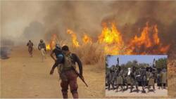 Yan Ta'addan ISWAP Sun Hallaka Yan Boko Haram Sama Da 200 a Borno
