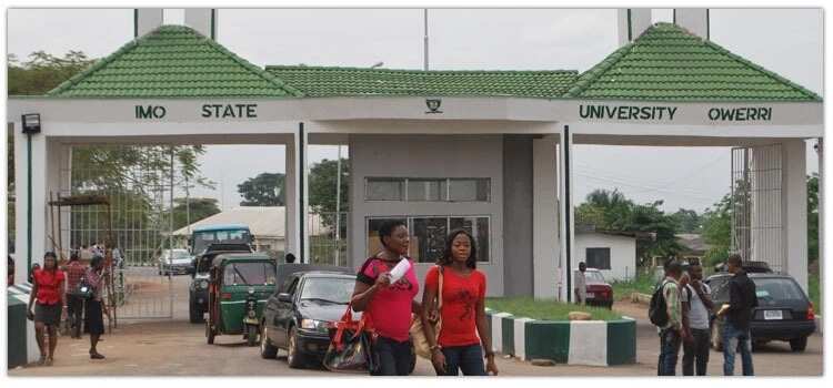 IMO state polytechnic school fees