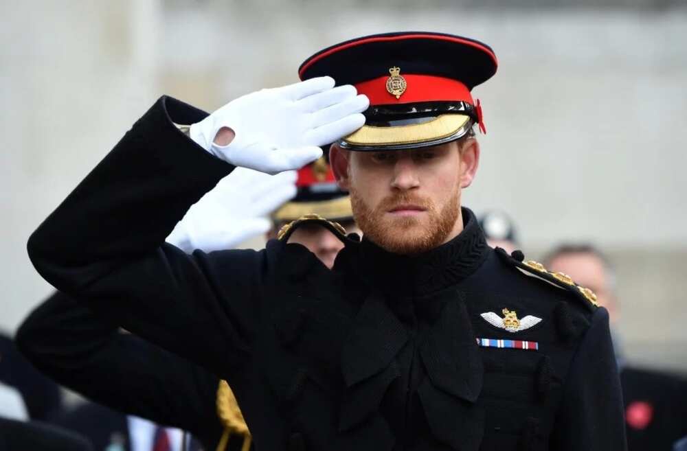 Royal wedding: 30 interesting facts about Prince Harry of Wales