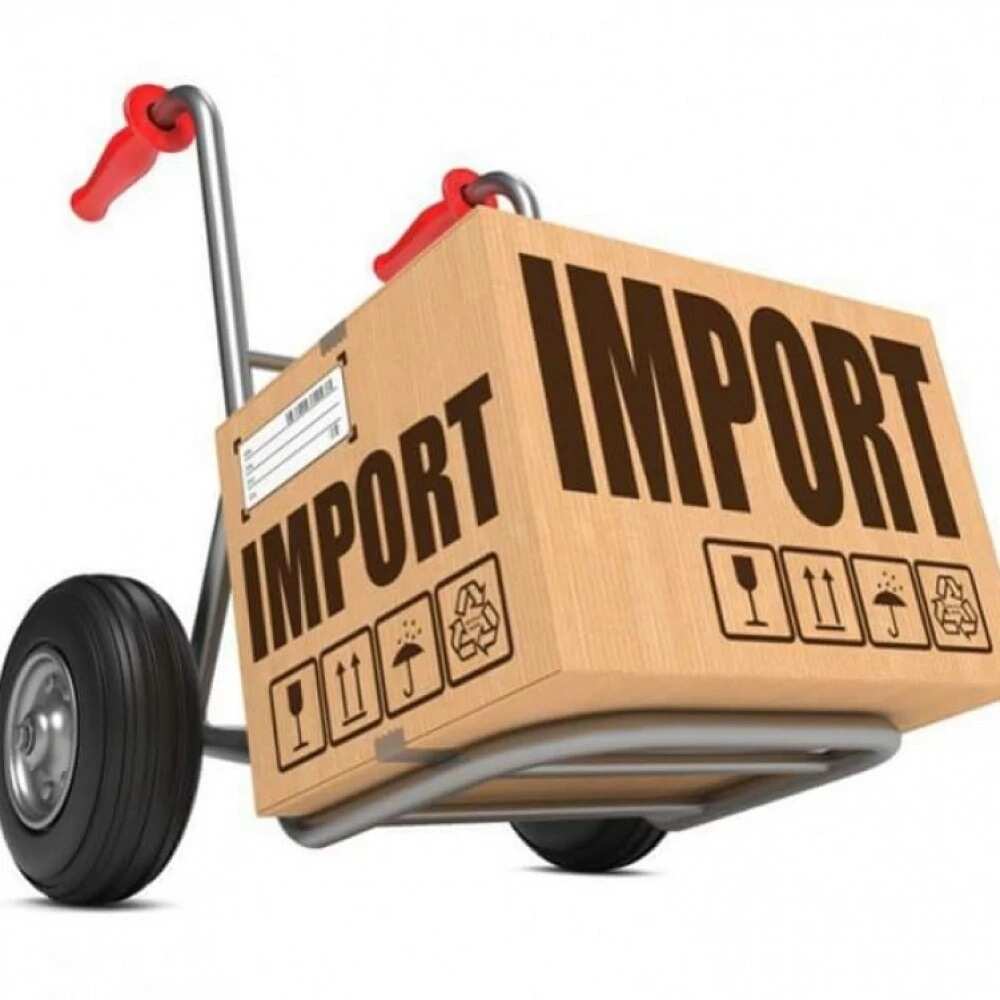 Mini importation business