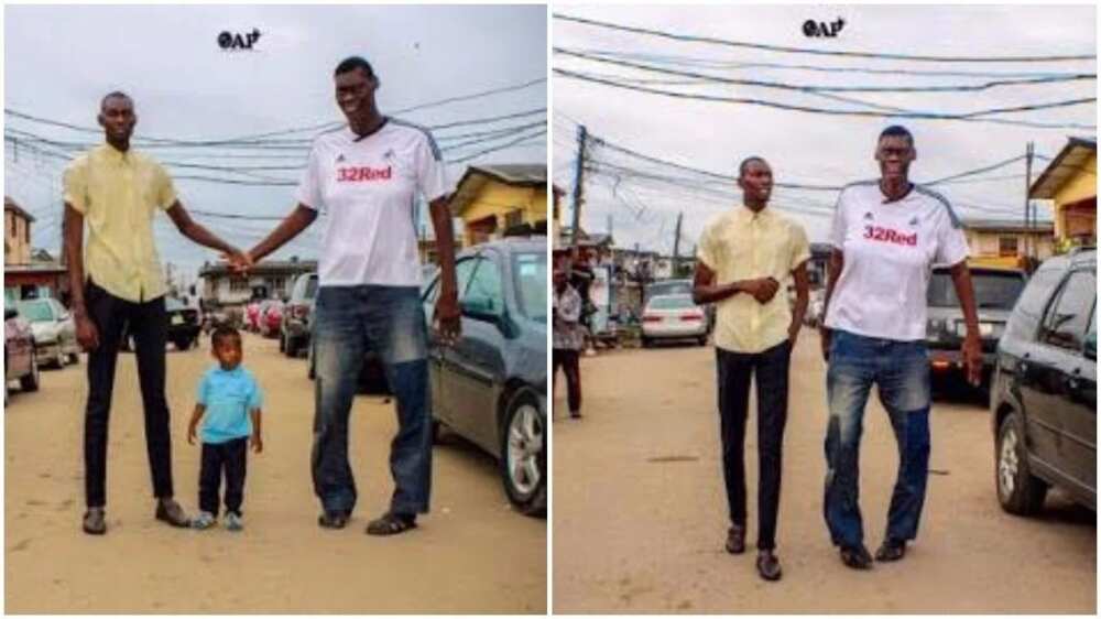 Tallest man Tallest man