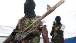 Revealed! The person behind the Niger-Delta Avengers will shock you