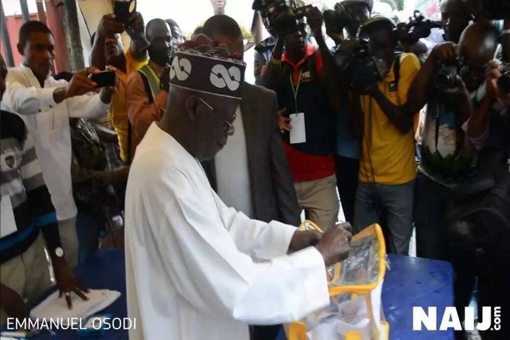 LIVE UPDATES: APC leader Bola Tinubu arrives Ikeja Polling Unit to cast his vote (photos, video)