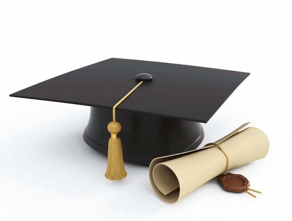 Bachelor degree Bachelor degree