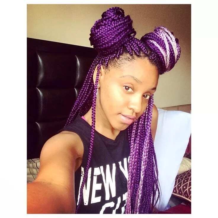 Purple braids