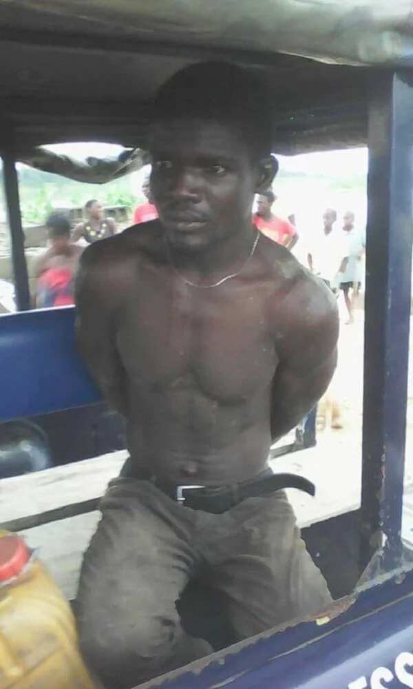 Man caught stealing plantain yesterday in a farm in Sagbama overside, Bayelsa State, Nigeria.