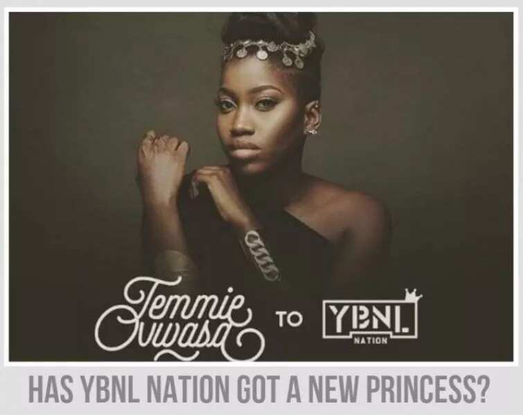 How to join YBNL