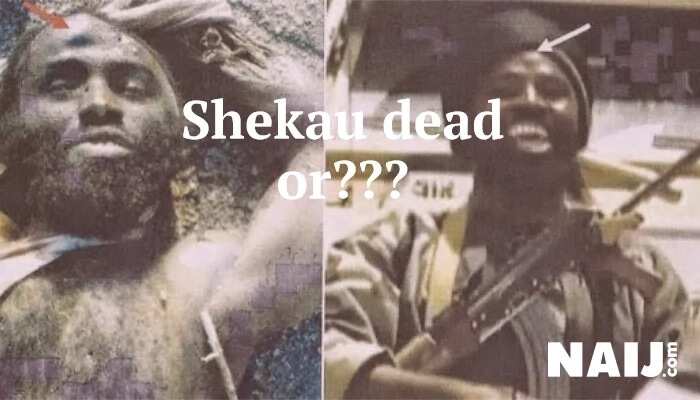Controversial death: 5 times BH leader Shekau has been killed