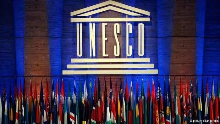 full-meaning-of-unesco-and-unicef-how-do-they-differ-legit-ng