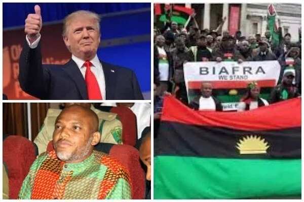 IPOB promises to pay hospital bills of pro-Trump rally victims