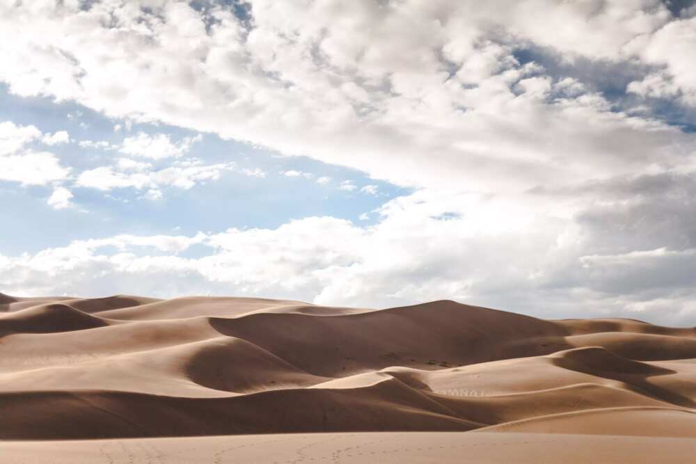 Desert's edge is found in Nigeria Desert's edge is found in Nigeria