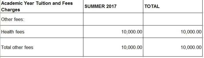 Other Fees for Summer