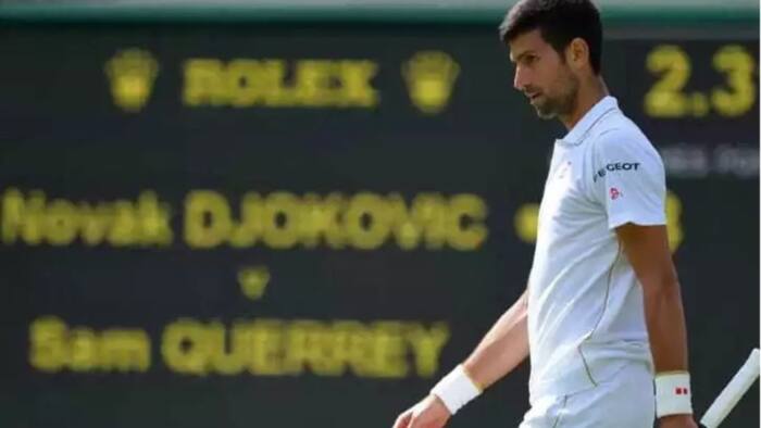 Tennis star Novak Djokovic owns majority stake of covid cure company, scientist surprise at his decision