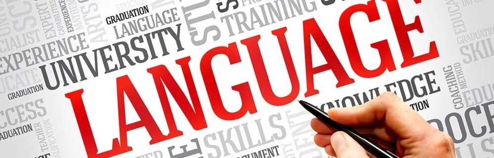 list-of-languages-in-nigeria-and-their-states-updated-2019-legit-ng