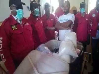 Hukumar NDLEA ta kama mai fataucin kwayoyi Hukumar NDLEA ta kama mai fataucin kwayoyi