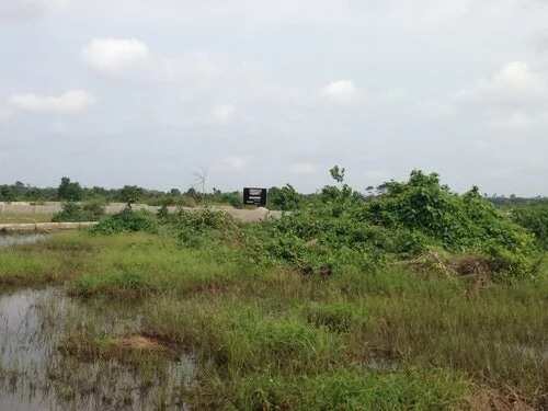 10 Most Fraudulent Places To Buy A Land In Lagos