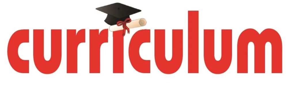 curriculum curriculum